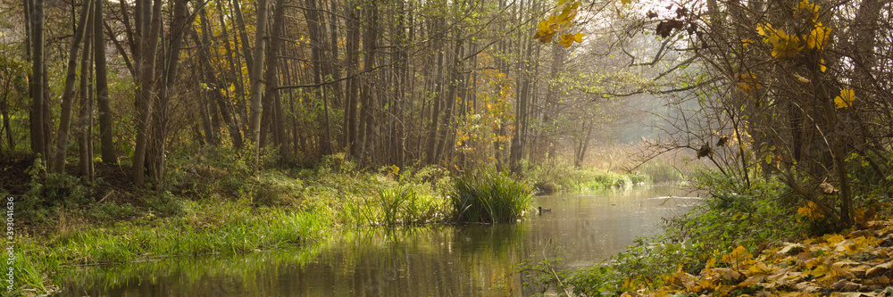 Landscape with a river and trees on an autumn sunny day. Landscape with a river and trees on an autumn sunny day.