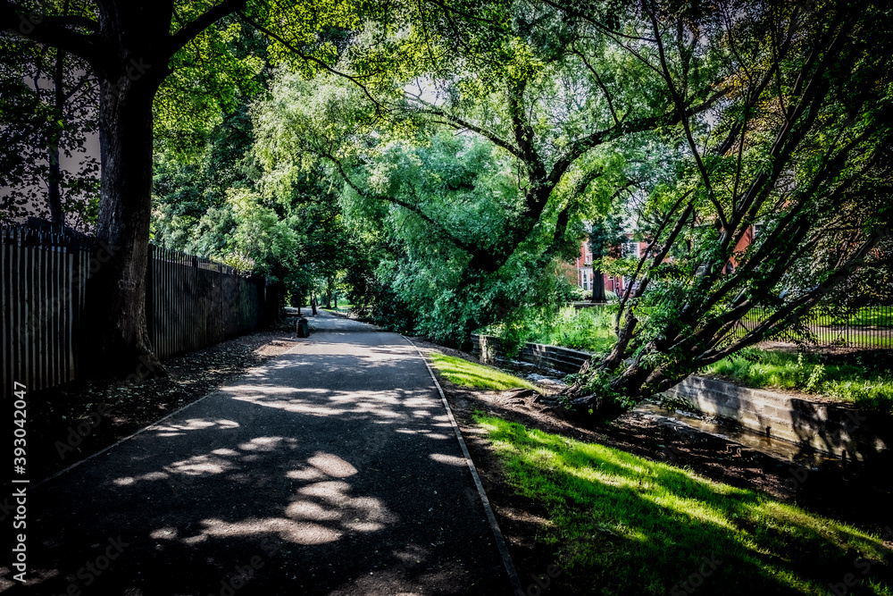 path in the park