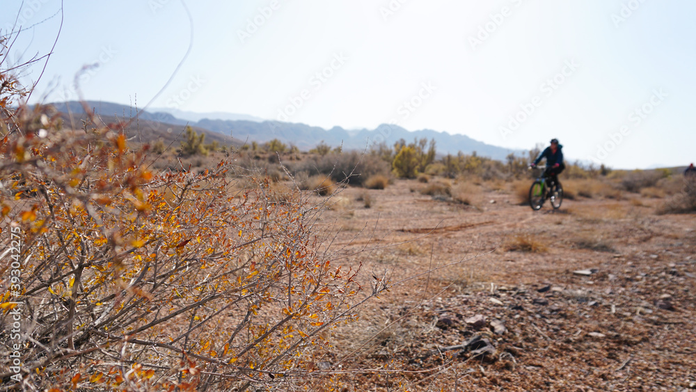 Obraz premium Autumn landscape of the steppe and a cyclist. View of dry bushes, small trees, sand with an orange-red hue, small stones, yellow-green trees. Hills are visible in the distance. A cyclist rides.