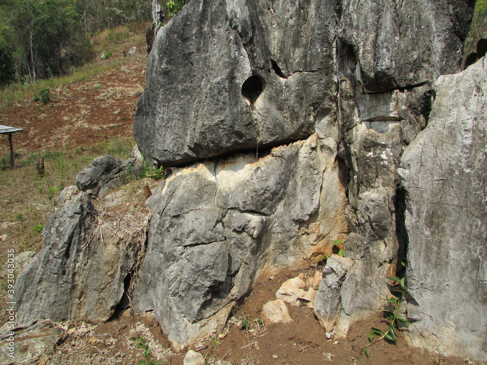 Fototapeta premium stone wall background