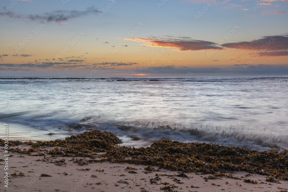 Seaweed sunrise seascape