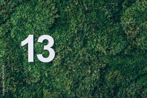 Ecology, zero waste. Green grass, digit thirteen. Birthday greeting card with inscription 13. Anniversary concept. Top view. Copy space. White numeral on eco moss background. Numerical digit