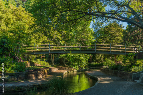 bridge over the river