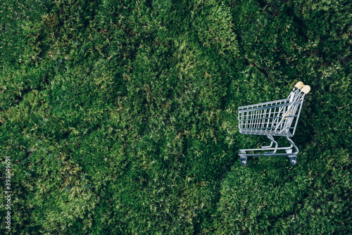 Obraz na plátně Shopping cart on green grass, moss background