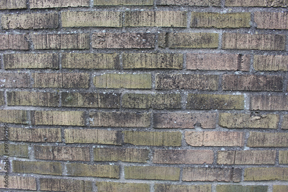 Naklejka premium old brick wall