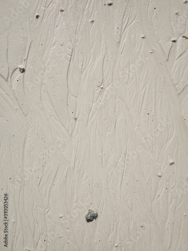 Prints in the sand