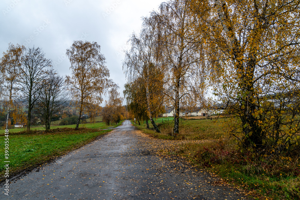 asphalt road in the countryside in autumn