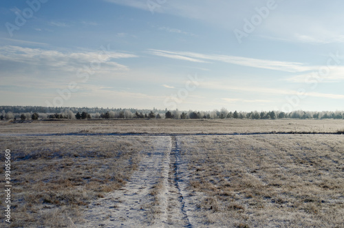 a field on a frosty November morning