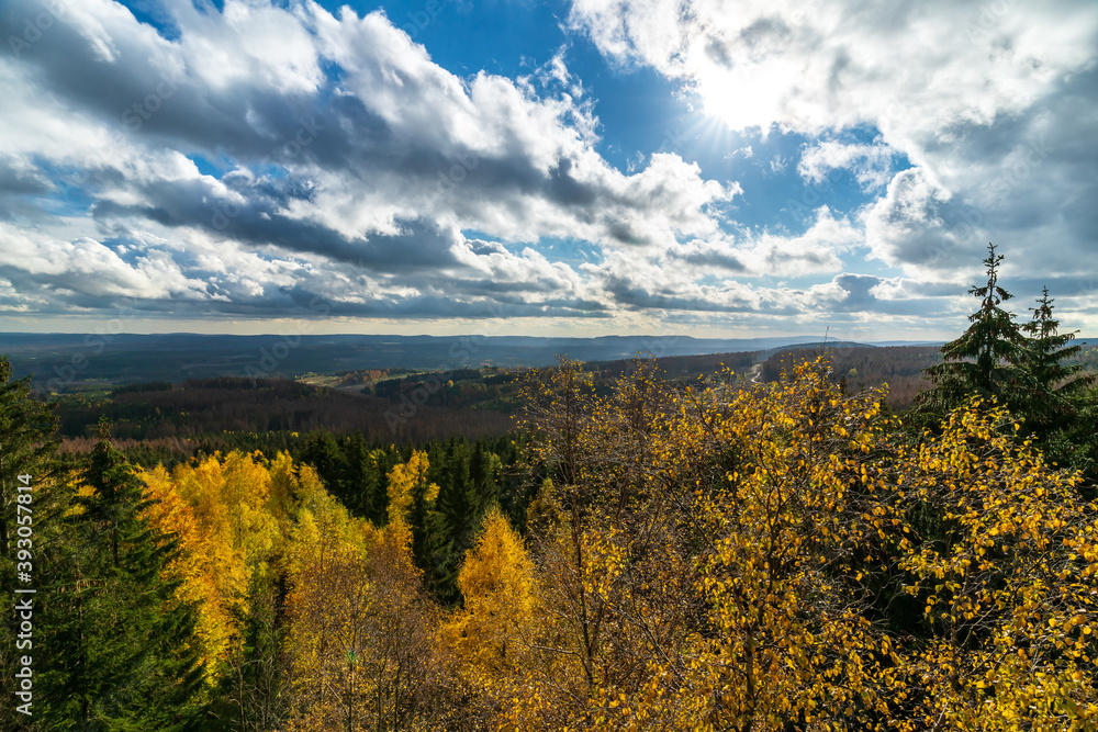 Obraz premium Autumn forest in the Harz mountains