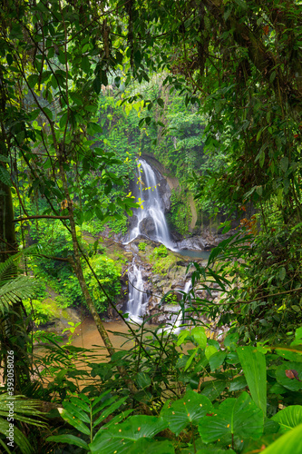 Waterfall landscape. Beautiful hidden Pengibul waterfall in rainforest. Tropical scenery. Slow shutter speed, motion photography. Nature background. Bali, Indonesia
