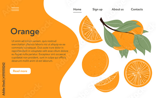 Fresh textured orange fruits on branch with leaves vector hand drawn landing page design.