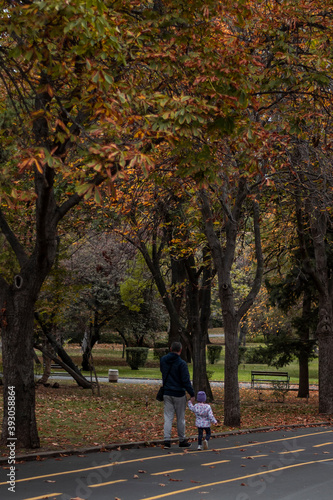 A father and his daughter taking a walk in a park alley. Autumn colours season mood.