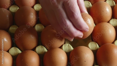 Selecting Eggs From Cardboard Shell