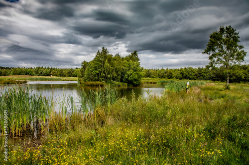 Nature Reserve Country Park © Chris Maddison