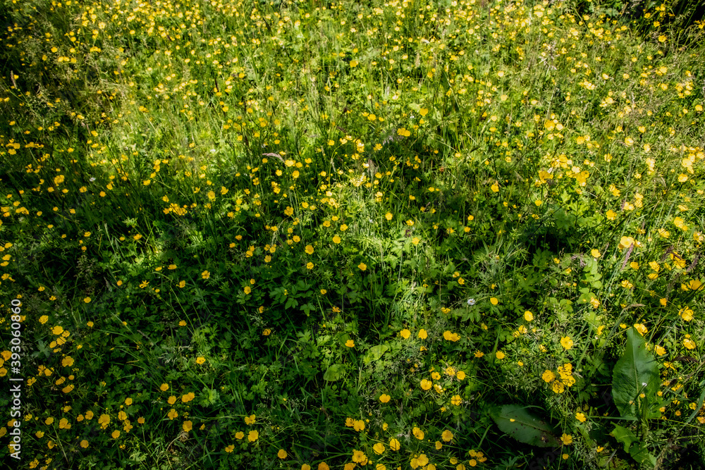 Nature Reserve Country Park Nature Reserve Country Park