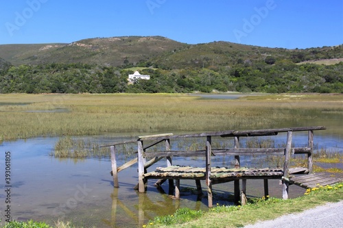 Beautiful nature of Knysna, South Africa - landscapes with a lake