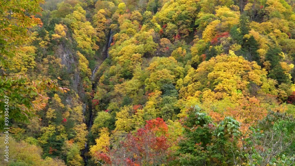 八滝の紅葉 八滝の紅葉