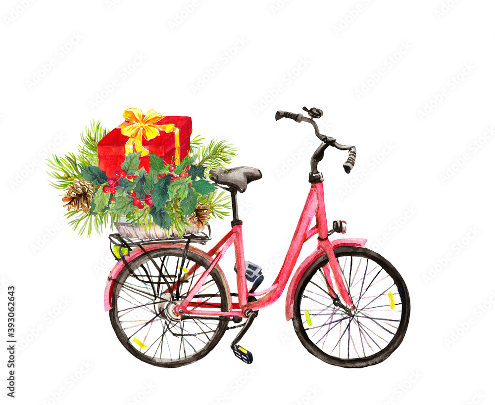 Red bicycle with spruce christmas tree branches, mistletoe, red gift box. Christmas, new year watercolor