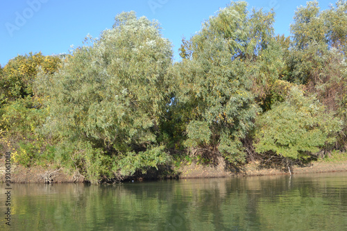 Enjoy your free time in autumn on the arms of the Danube river