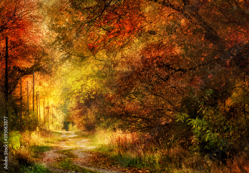 Dirt winding road among colorful autumn trees.