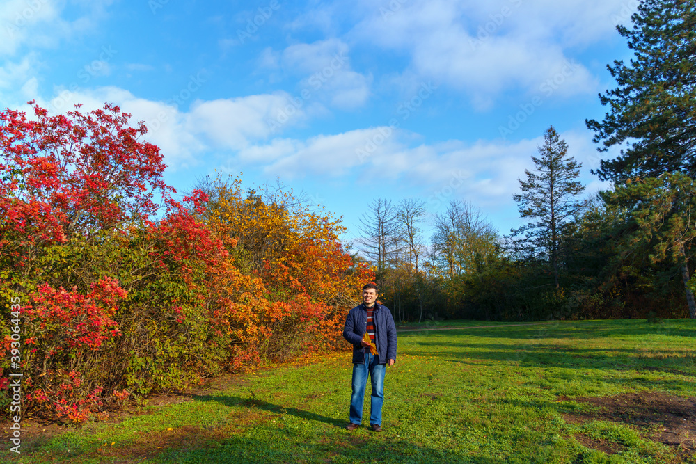 portrait of a man posing in autumn park, bright colorful leaves as background