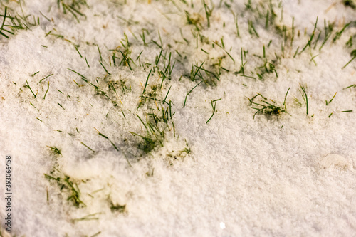 The first snow fell to the ground