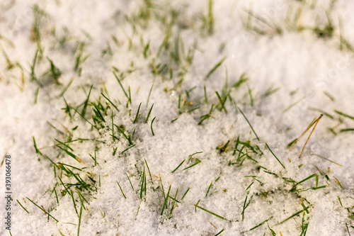 The first snow fell to the ground