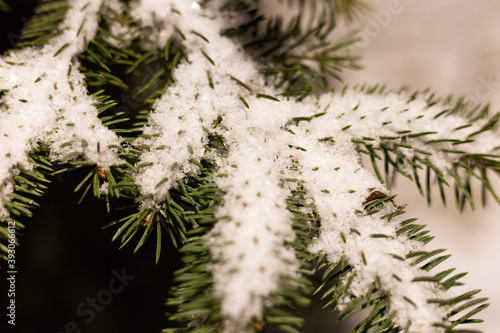 The first snow fell to the ground
