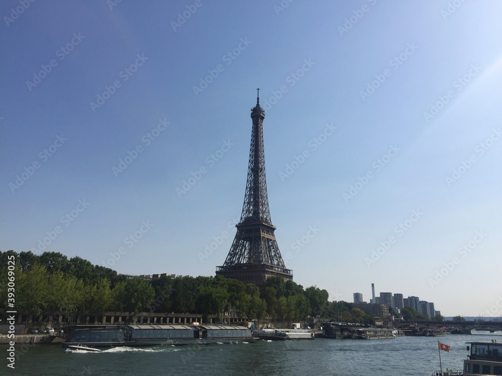 Fototapeta premium Eiffel Tower, symbol of Paris, France