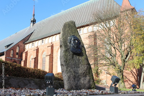 snowy owl in the snow