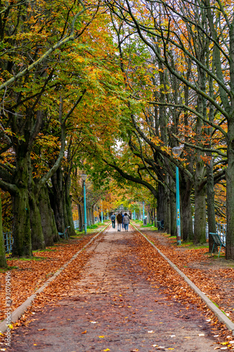 Parisians walking in autumn in the Isle of the Swans (Ile aux Cygnes) - Paris, France