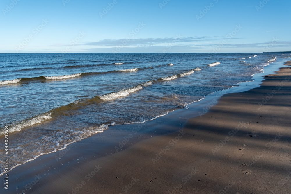 Obraz premium Baltic sea coast.