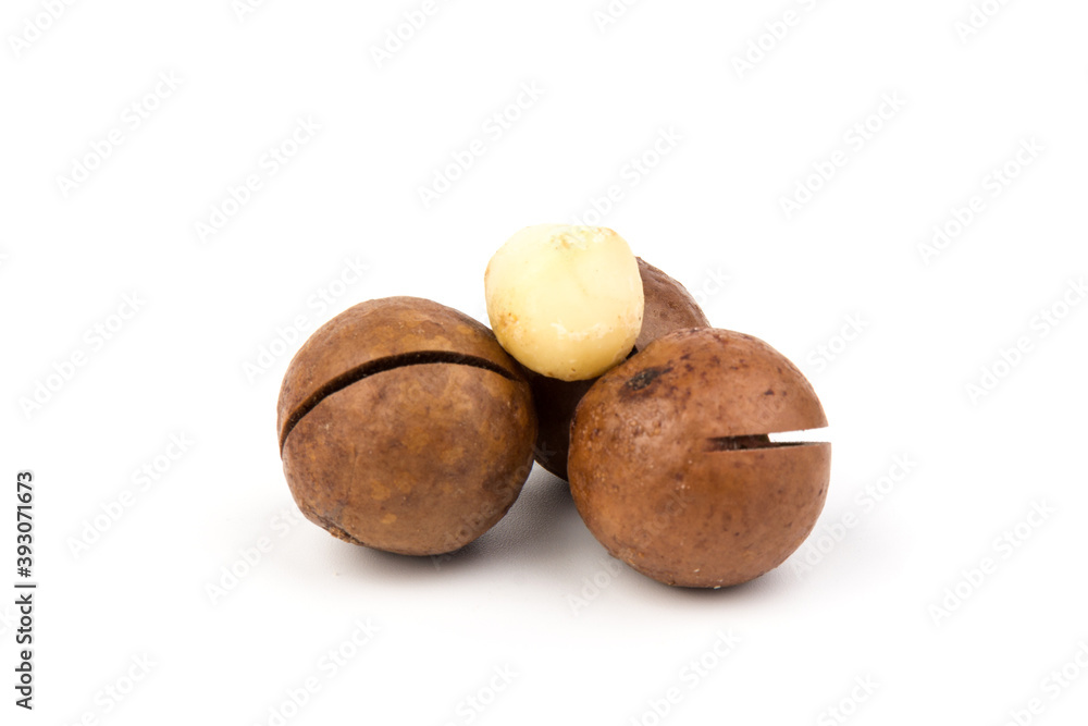 macadam nuts with clipping path on a white isolated background macadam nuts with clipping path on a white isolated background