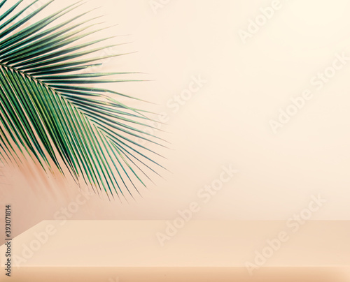 Empty template of podium, background for product presentation, palm leaf in the background