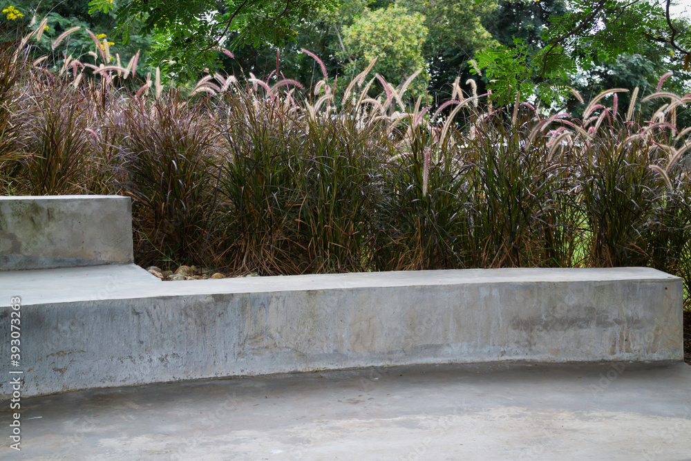 Fototapeta premium Relaxing seat of reeds grass flower