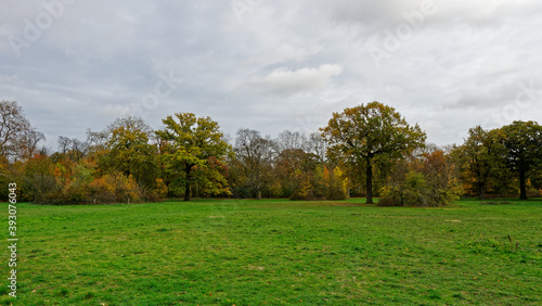Bois de Vincennes during fall season