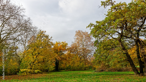 Bois de Vincennes during fall season