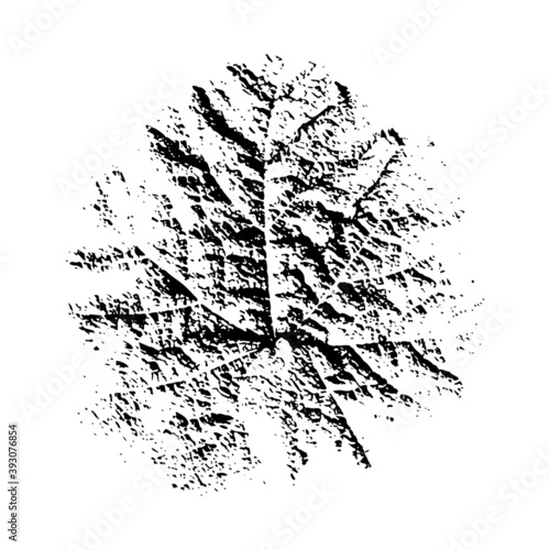 Imprint of a natural leaf of grass. Isolated botanical element. Suitable for design  pattern  postcard  print. Vector illustration.