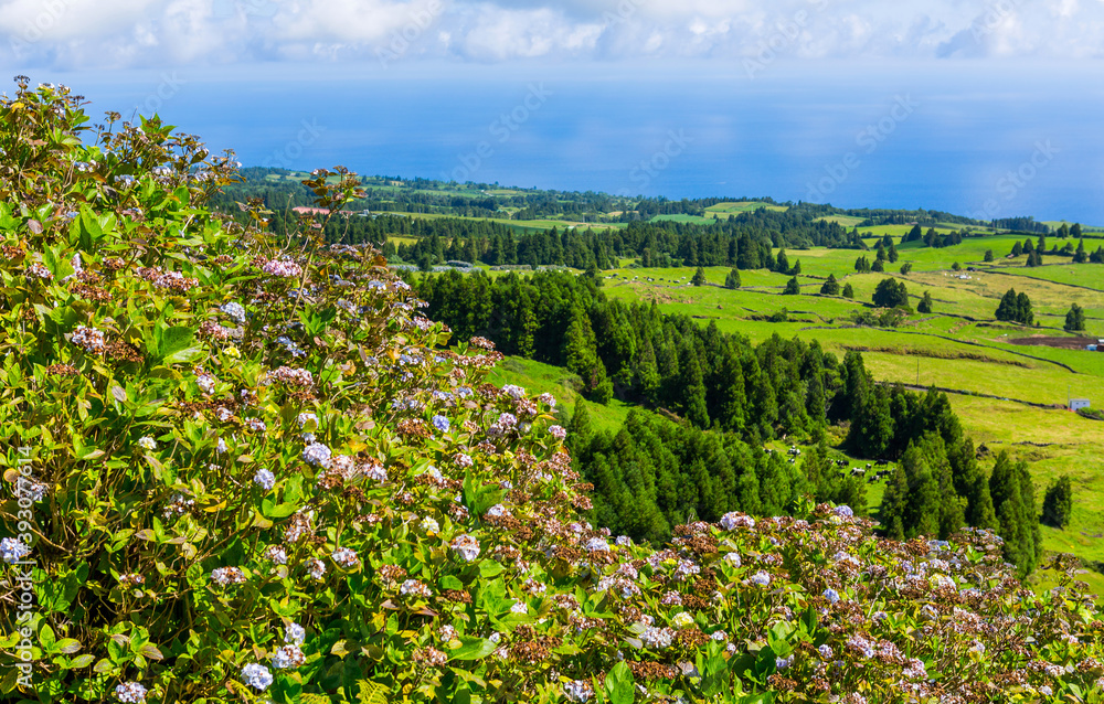 Beautiful landscape in Azores