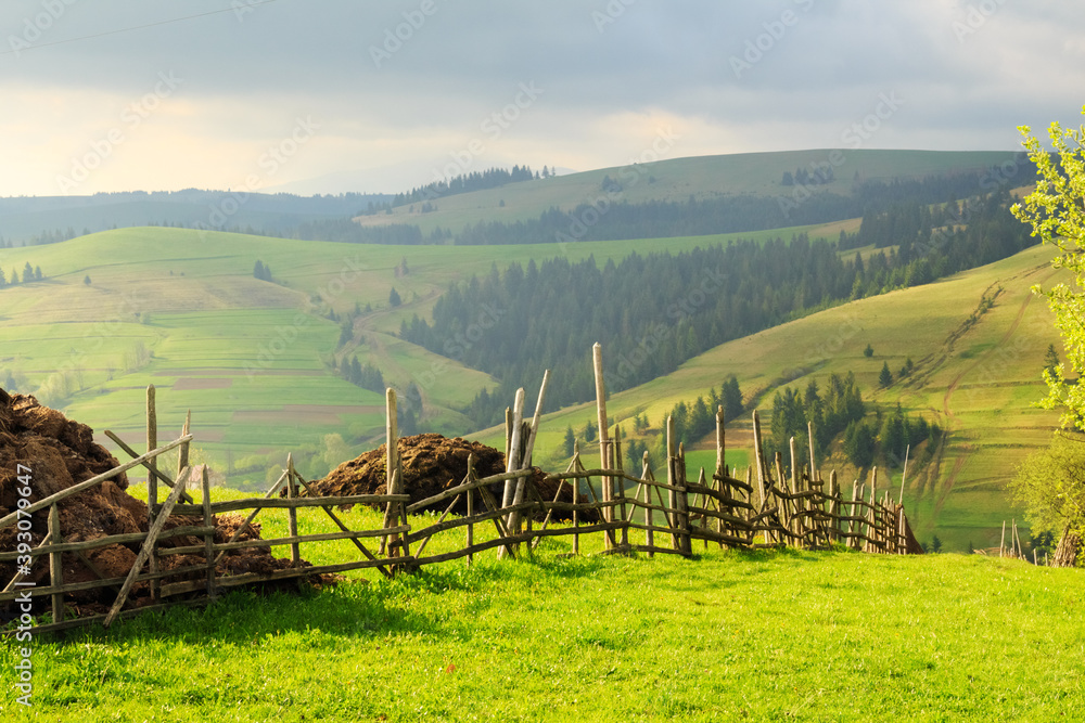 Spring morning rural landscape in the Carpathian mountains with fence