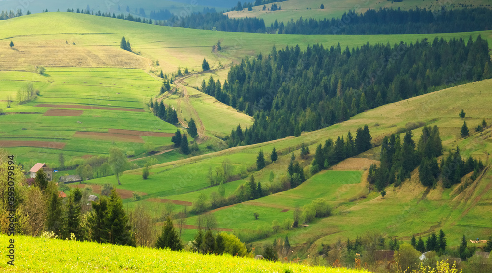 Spring morning rural landscape in the Carpathian mountains. The sun's rays illuminate the colorful hills
