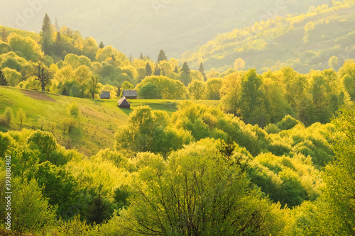 Spring gold evening rural landscape in the Mizhhiria, Carpathian mountains.