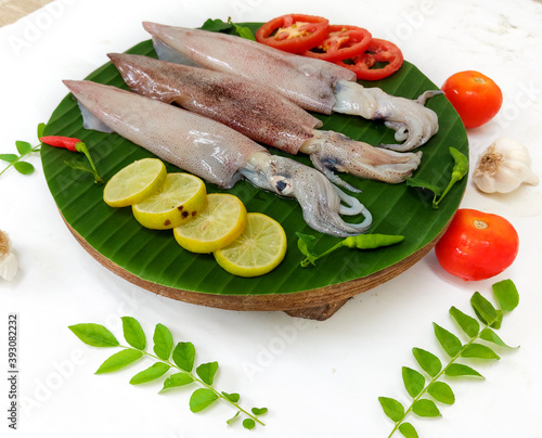 Close up view of fresh raw Loligo Squid (Loligo Duvauceli) decorated with curry leaves , tomato,lemon slice and herbs on a white Background,Selective Focus. Background.Selective Focus. photo