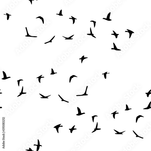 Seamless pattern flock of flying birds isolated on white background. Vector © viktorijareut