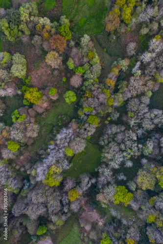 Springtime, Tarrueza, Laredo, Montaña Oriental Costera, Cantabria, Spain, Europe © JUAN CARLOS MUNOZ
