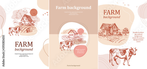 Sample brochure. Agricultural background. CCow in the pasture.