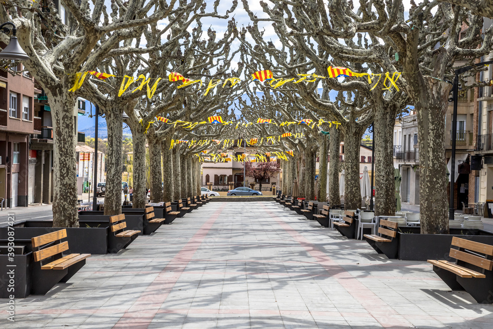 Obraz premium Catalonian flags on rambla