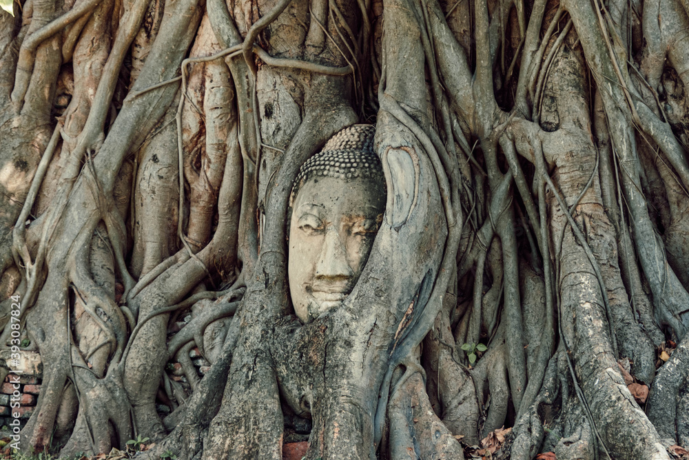 Wat Maha That in Ayutthaya, Thailand