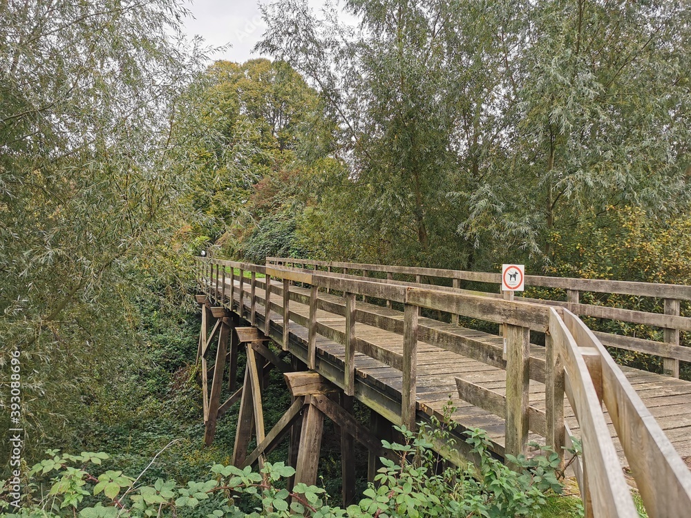 Fototapeta premium bridge over the river