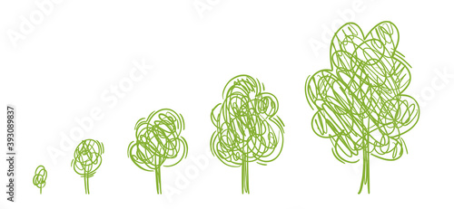 Tree growth stages. Forest growing. Ecology drawing sketch. Plant development phases. Animation progression. Vector infographic set. The life cycle. Childish line.